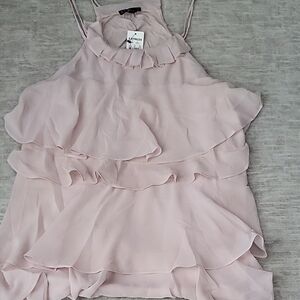 Express Light Pink Ruffled Blouse